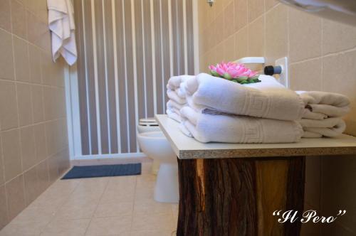 Apartamento Portacr�nni Bed And Breakfast