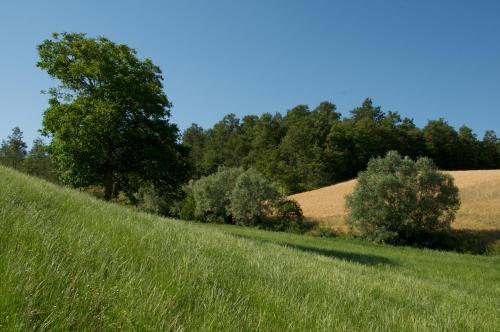 Agroturismo Artemide