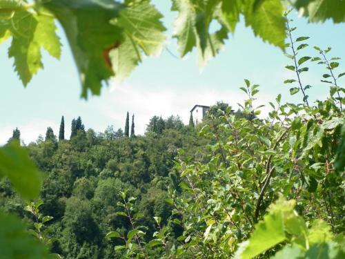 Villa Della Rocca
