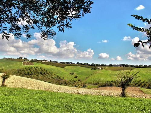 Holiday Home Montelipa Montecassiano
