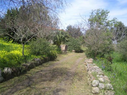 Bed And Breakfast Da Lucia