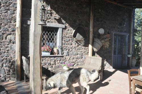 Agroturismo Il Frutteto Di Efesto