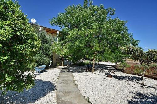 Apartamento Google House