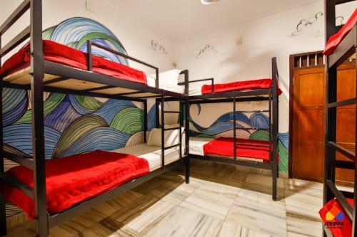 Trippr Alleppey - Backpacker Hostel