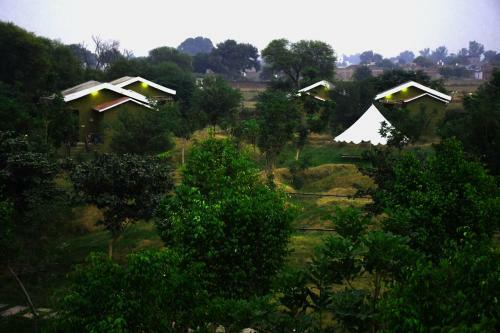 Hotel Chambal Wildlife S Lodge