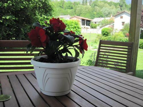 B&B Terra E Nubi