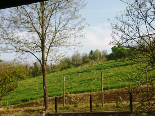 Bed And Breakfast Olimpia