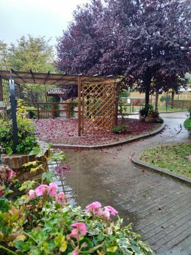 Bed And Breakfast Olimpia