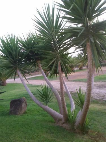 Agroturismo Cuccuruaio' B&B