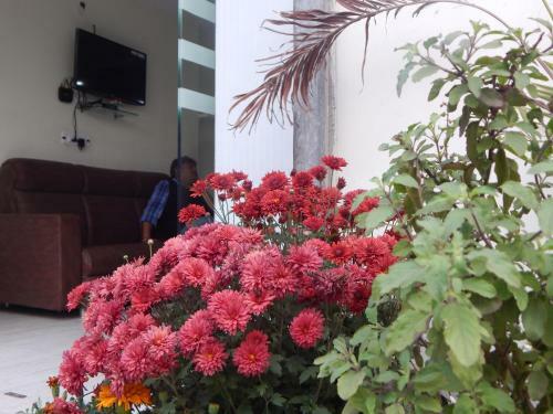 Hotel Nk Guest House-kolkata
