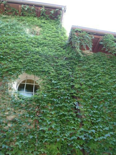 Bed & Breakfast Locanda Amerigo
