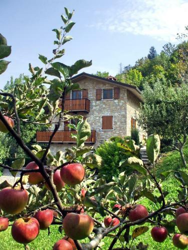 Agroturismo Casa Martina B&B