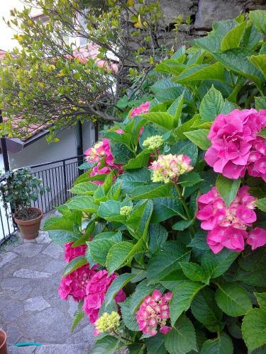B&B I Glicini