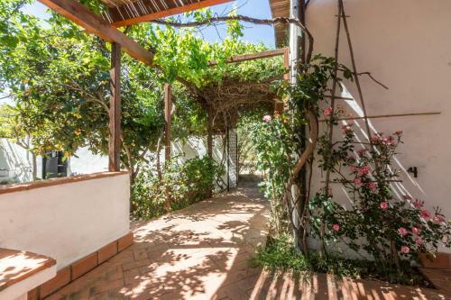 Apartamento Abba Arrubia