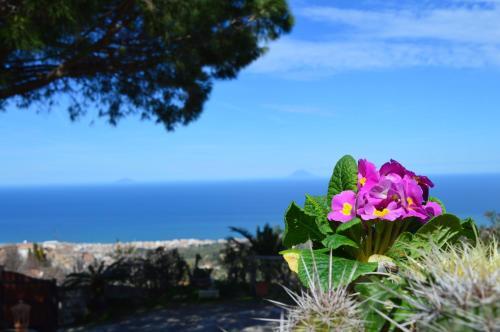 Bed & Breakfast Villa Quiete