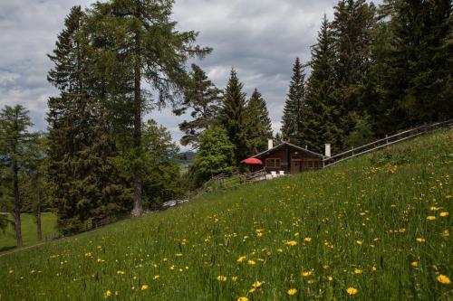 Bergh�tte Sommerstall
