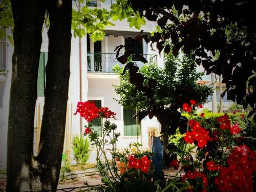 Bed & Breakfast Don Carlos