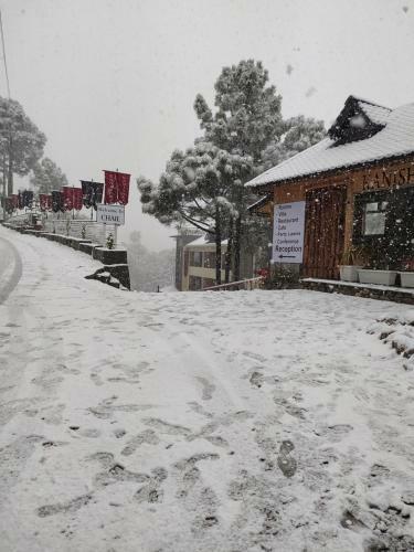 Hotel Kanishka Retreat Resort Chail