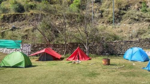 Stayapart - Braveheart Adventure Camp