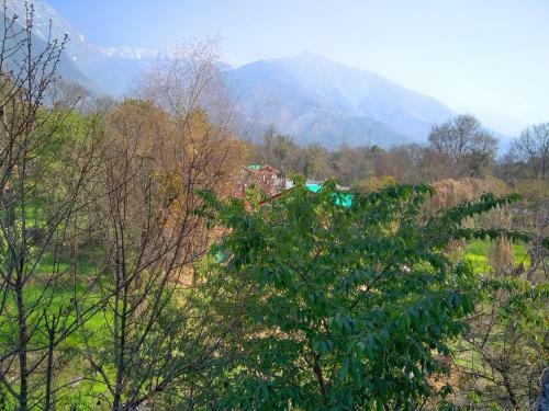 Hotel Highland Village Resort