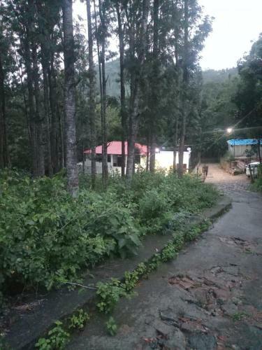 Impeccable 3-bed Cottage In Sirumalai