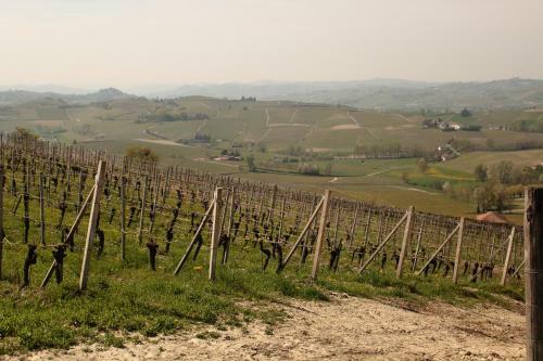 Agroturismo Cascina La Carlotta