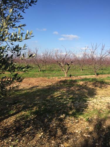 Hotel Masseria Gravelle