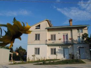 B&B Villa Ceccarini Fonte D'oro