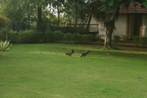 Hotel The Hideaway Hosur