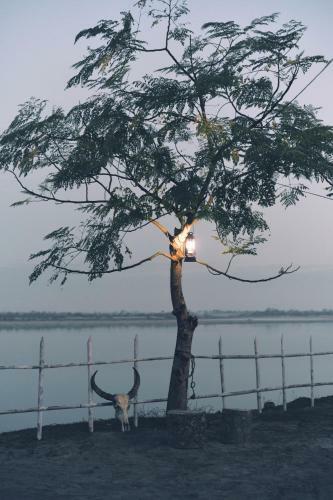 Mohian Cove