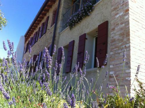 Agroturismo Le Pervinche