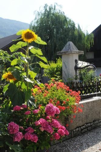 Aparthotel Residence Obermoarhof