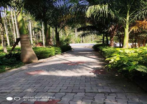 Hotel Coorg Anekad Jungle Stay Resort
