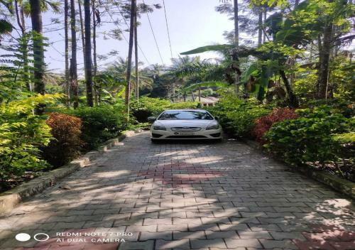 Hotel Coorg Anekad Jungle Stay Resort