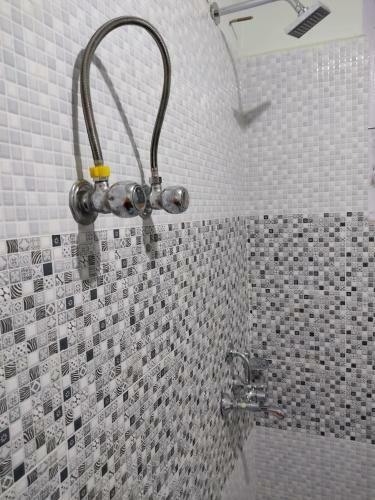 Hostal Paradise Leh Residency