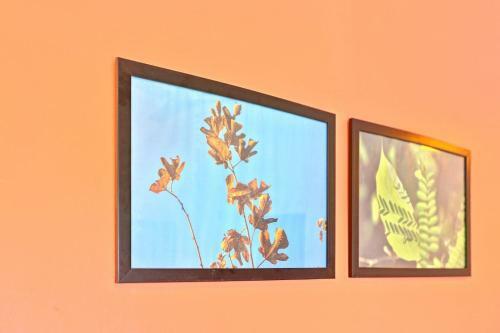 Hostal Discounted Prices! Spacious 1br Abode In Coorg