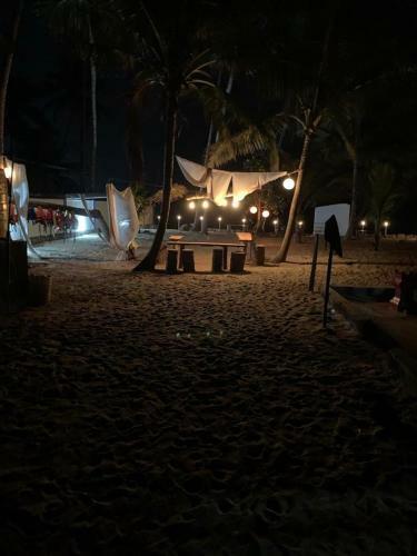 Vamoose Sattva Camps