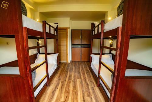 Albergue Alt Life - Manali