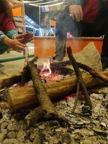 Albergue Backpackers Headquarter Manali