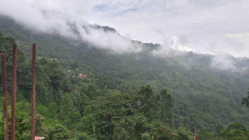 Vamoose Rajalim Homestay