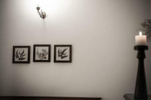 Hotel Bhikampur Lodge By Howard