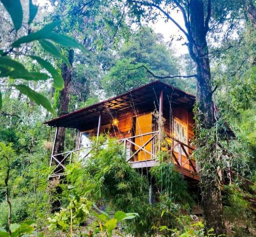 Hotel Ayar Jungle Resort