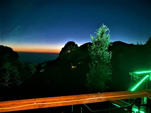 Hotel Chirpingi Birdz Resort