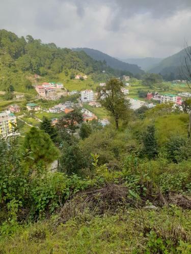 Nainital Hotel And Resort