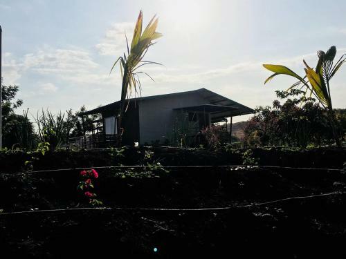 Hotel Basil Farm Stay