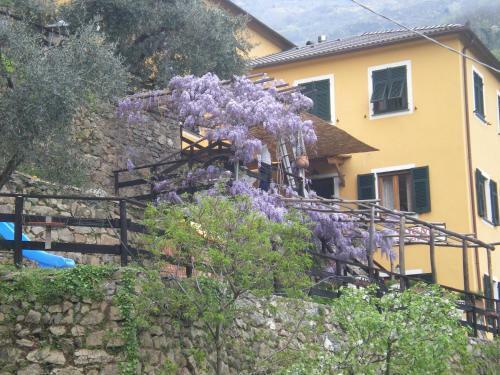 Agroturismo Agriturismo Il Sogno