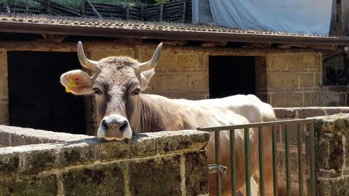 Agroturismo Agriturismo Ricciardelli