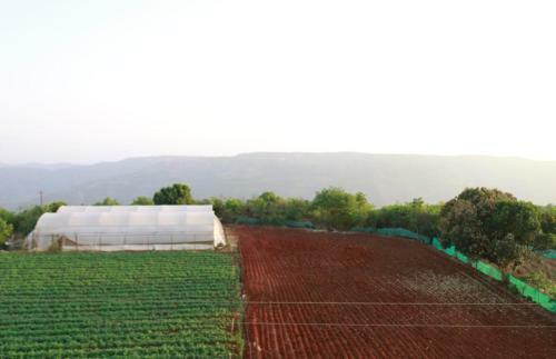 S.k. Farm Villa