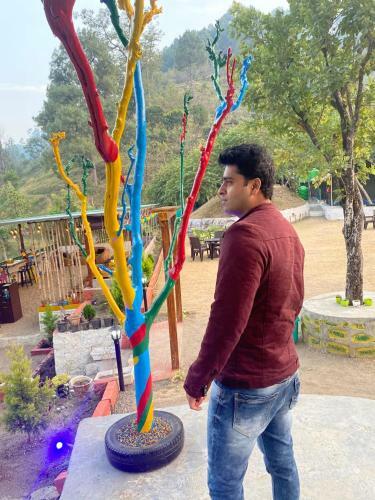 Greenlust Camps & Resorts