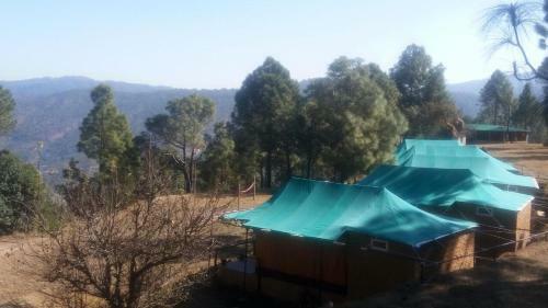 Hotel Bay Berry Camp And Resort